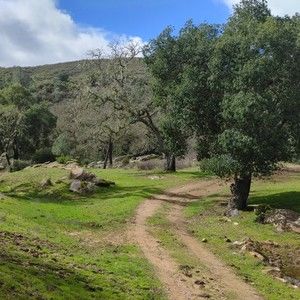 Meet your Posher, Ruska